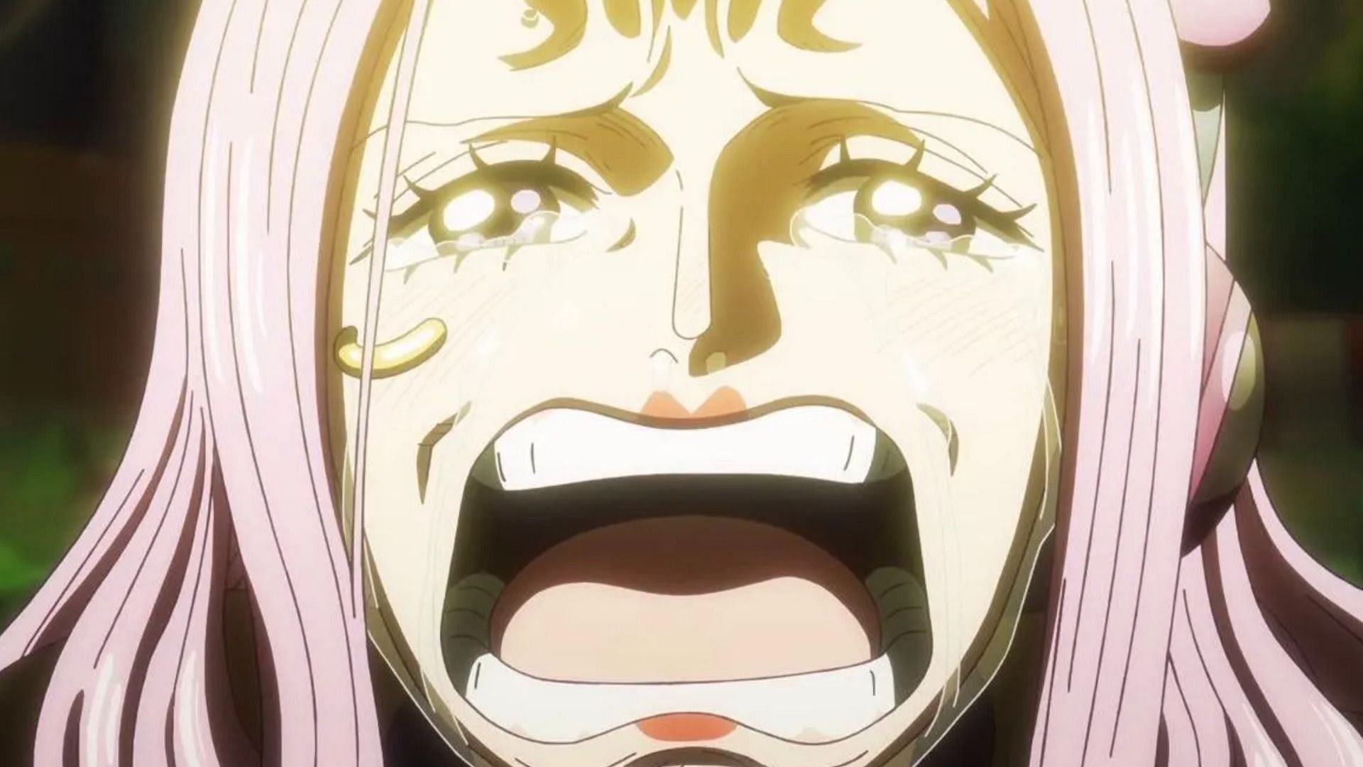 Bonney as seen in anime (Image via Toei Animation)